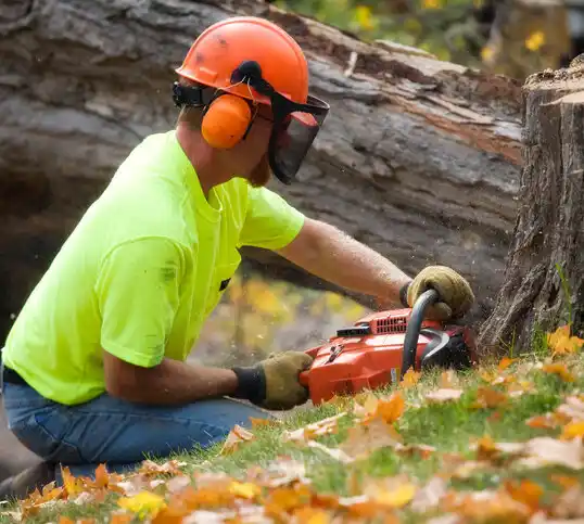 tree services Natalbany